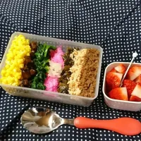 今日のお弁当☆7色弁当|吉田啓子さん