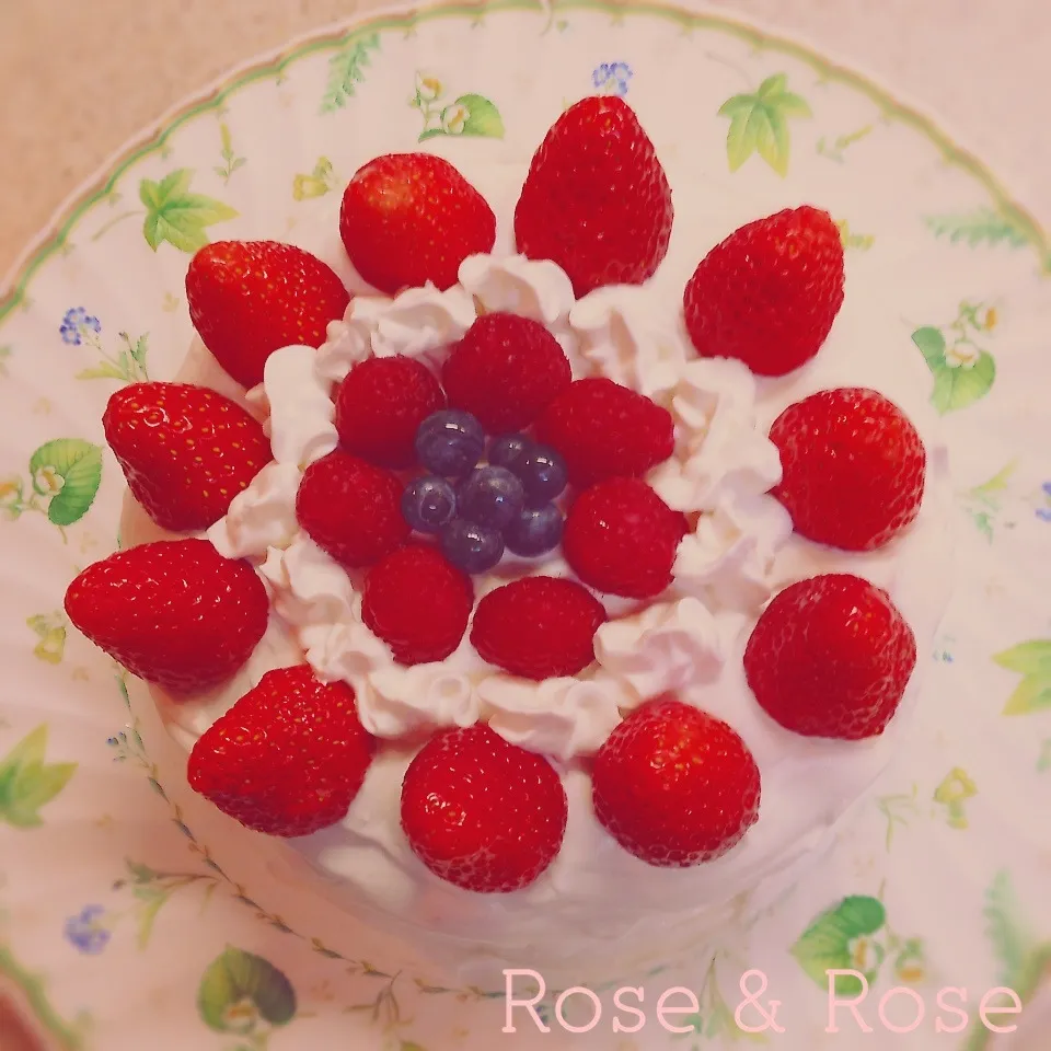 Snapdishの料理写真:デコレーションケーキ出来ました(^▽^;)|ROSE & ROSEさん