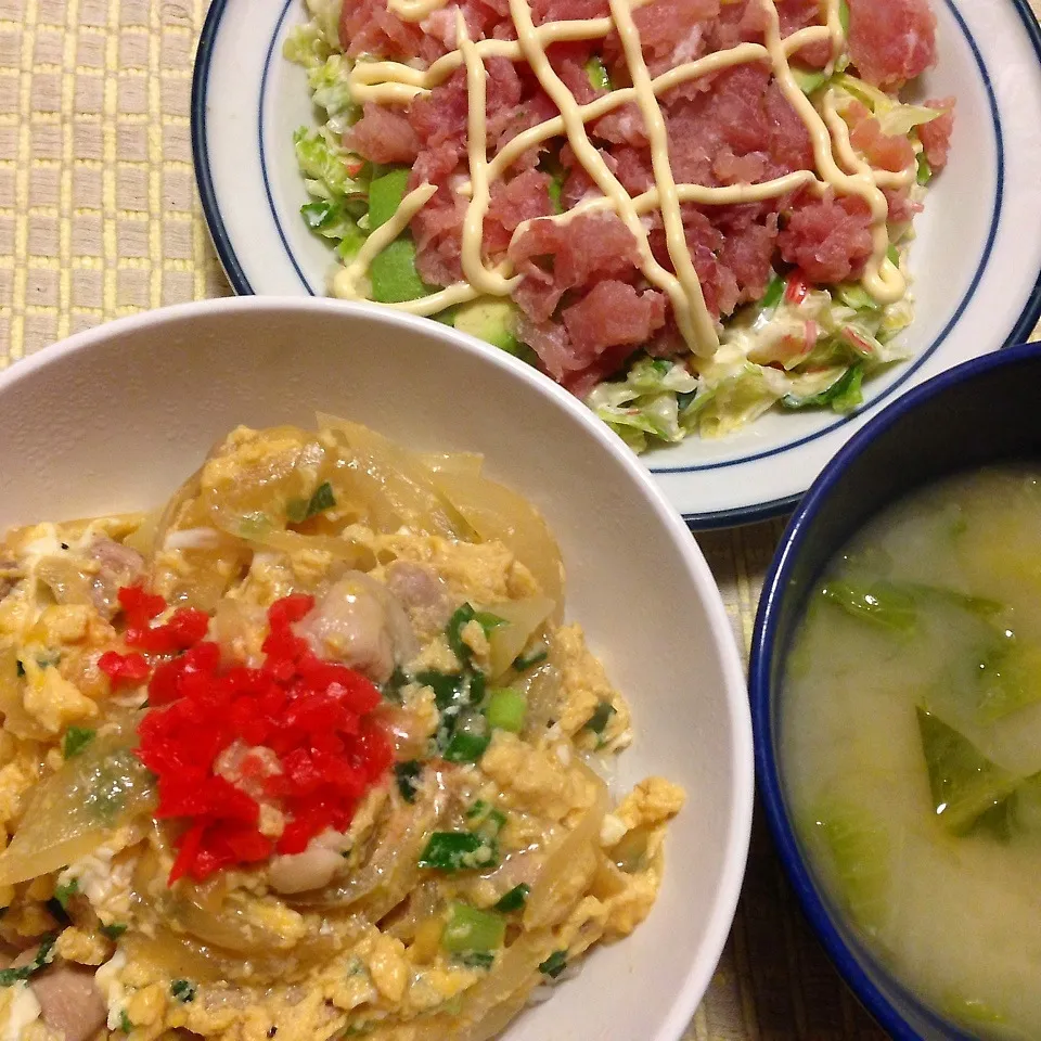 Snapdishの料理写真:親子丼|♡happyhalloween♡さん