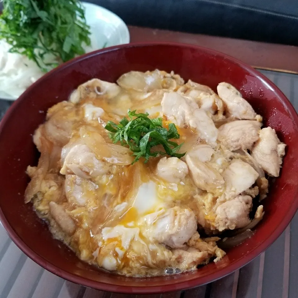 Snapdishの料理写真:今日の昼御飯はささみ親子丼とささみポン酢和えで…♪(⌒‐⌒)|dai.noriさん