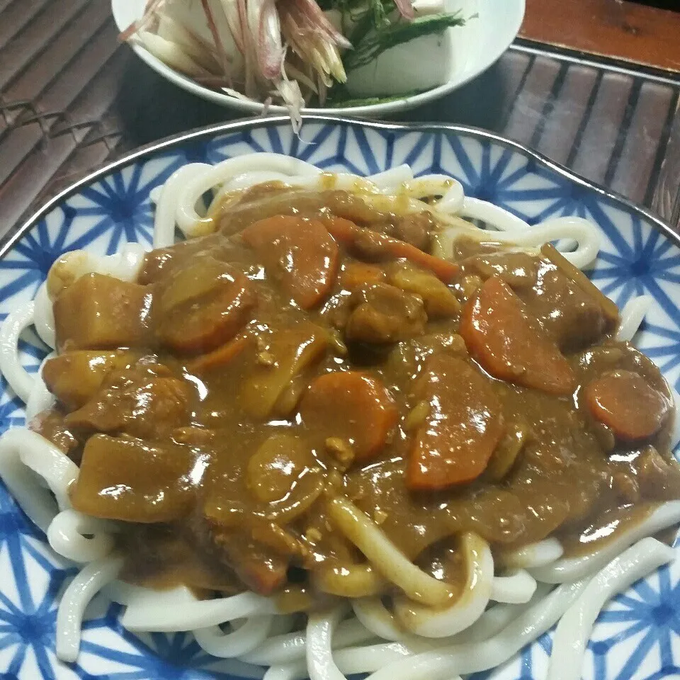 最後の残りカレーで、カレーうどん♪とミョウガとしその冷奴|dai.noriさん