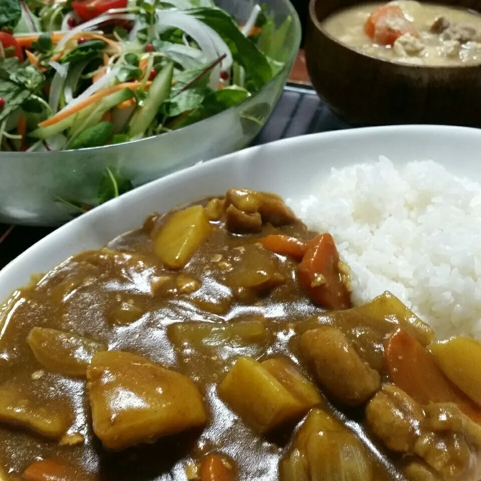 昨日の夜ご飯♪豚汁と残り豚汁からアレンジカレー🍛とサラダ♪|dai.noriさん