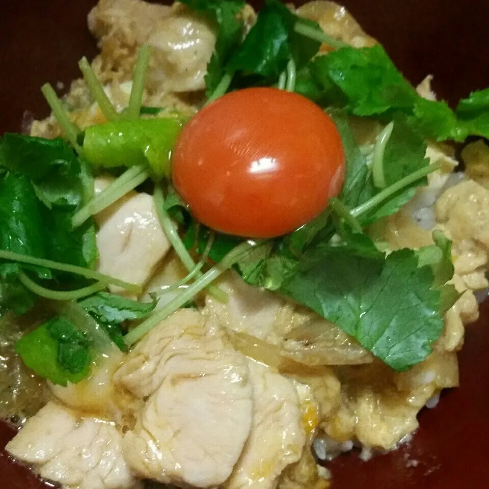 今日の夜ご飯は、トップランたまごを使った、ささみde親子丼✨|dai.noriさん