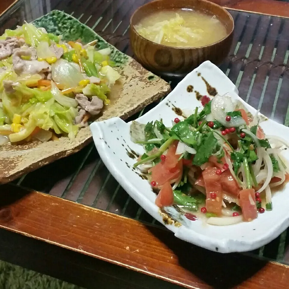 キャベツ豚肉オイスター醤油餡掛け炒めとパクチートマトサラダ♪|dai.noriさん