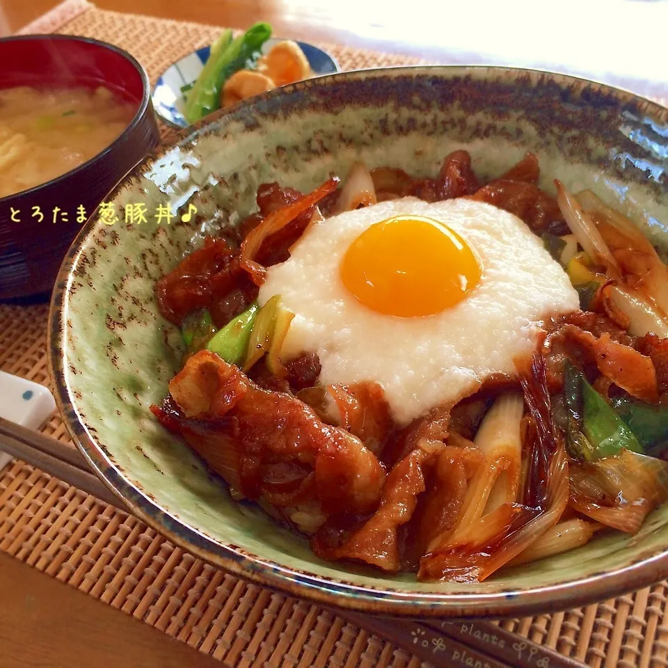 Snapdishの料理写真:とろたま葱豚丼♪|かおちゃんさん