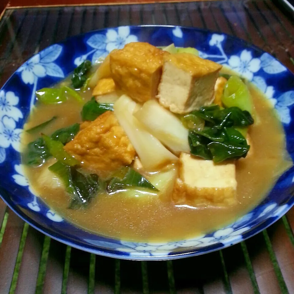 農家さんに頂いたネギと厚揚げ豆腐の煮物♪(⌒‐⌒)|dai.noriさん