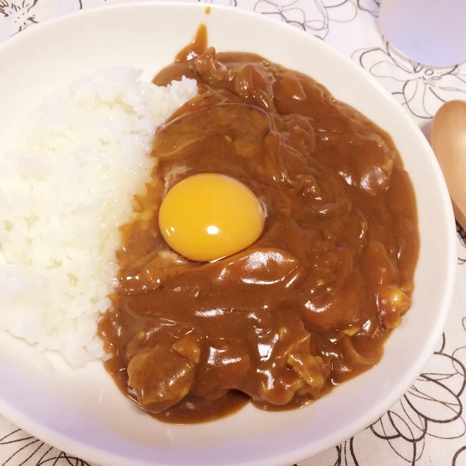 anova使用カレー|なちょすけさん