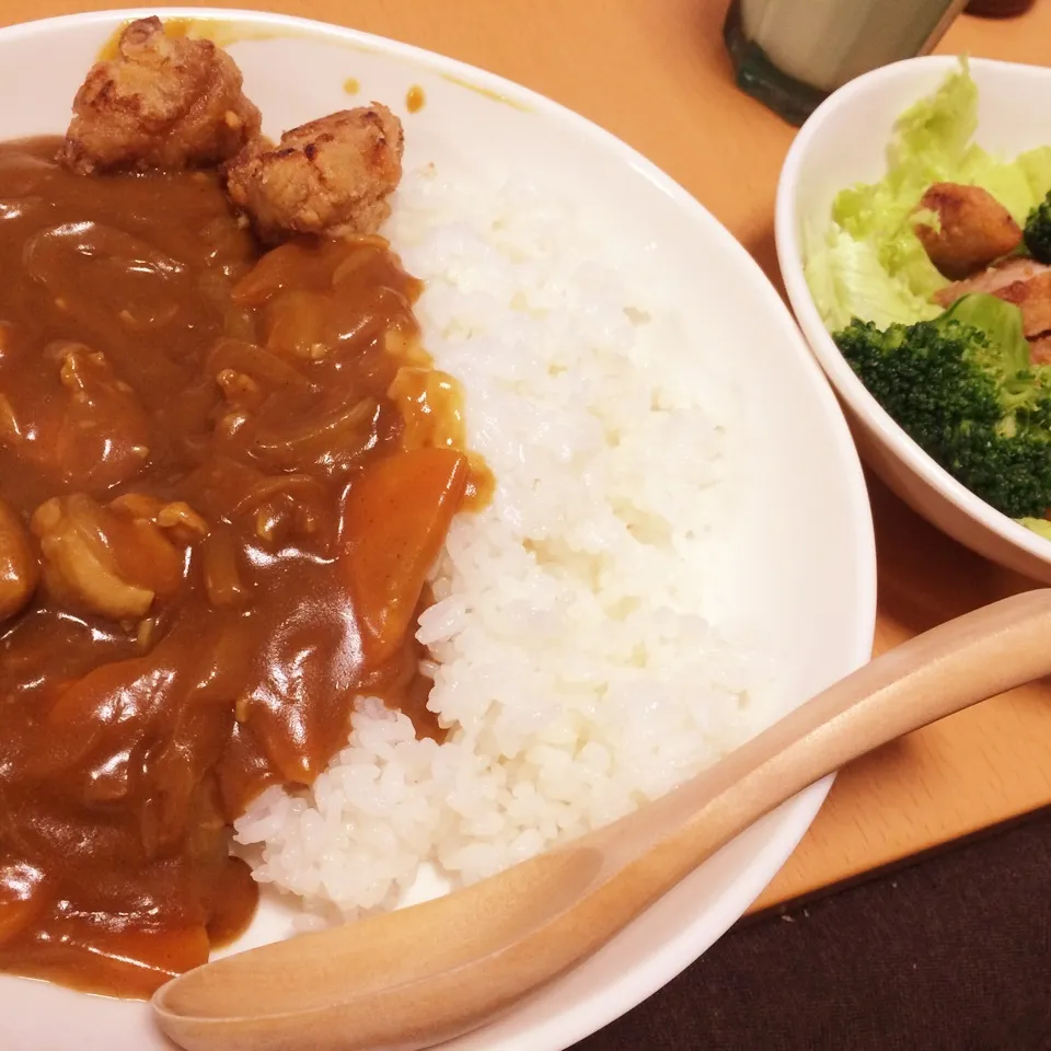 困った時の相方カレー|なちょすけさん