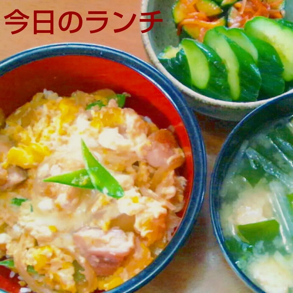 Snapdishの料理写真:ふわふわトロリん親子丼～|かおちゃんさん