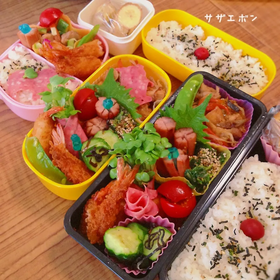 高校、小学校、幼稚園お弁当|サザエボンさん