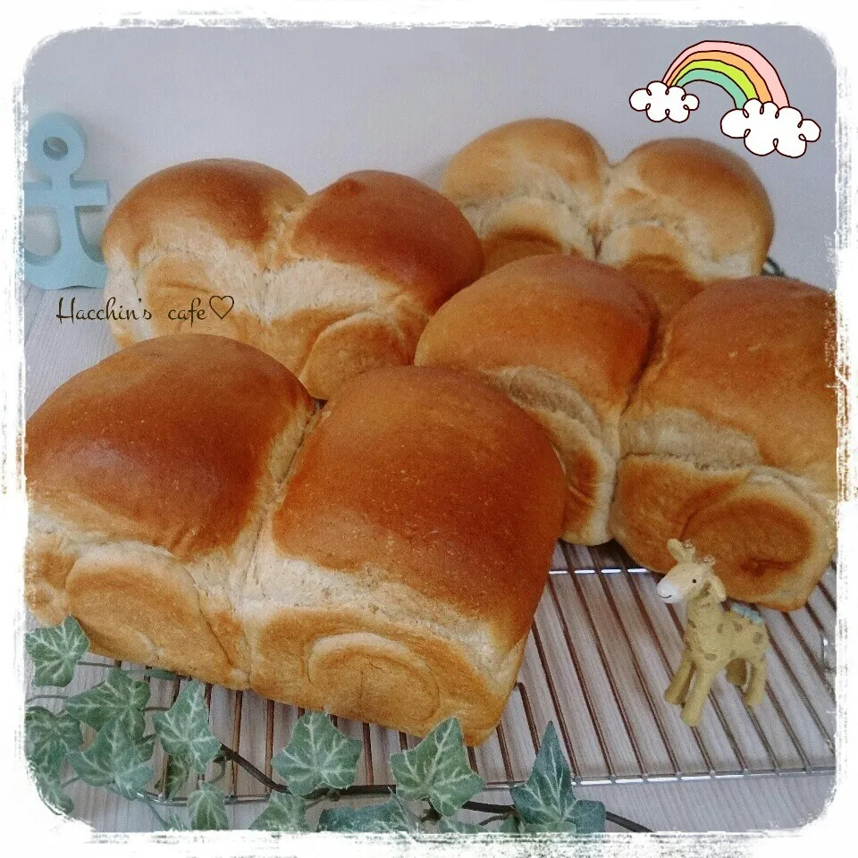 いつもの全粒粉入り甘麹ミルク山食～🍞|ハッチさん