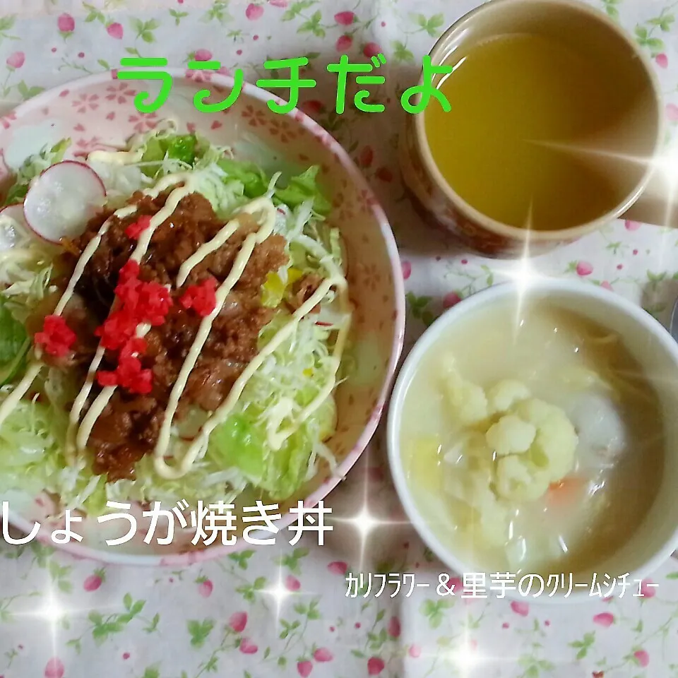 ありあわせランチ|うさぴょんさん