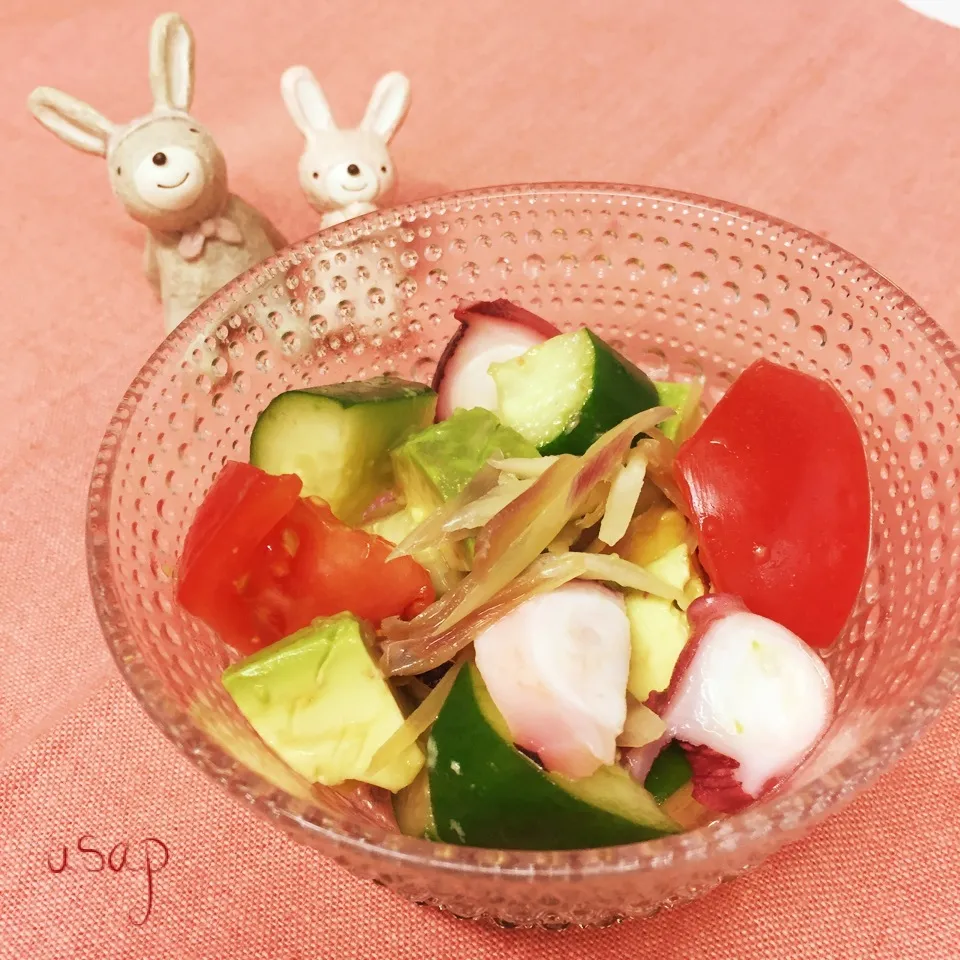 夏野菜のさっぱりサラダ|うさピーさん