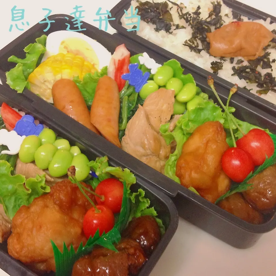 Snapdishの料理写真:6／21高校生男子弁当|うさピーさん