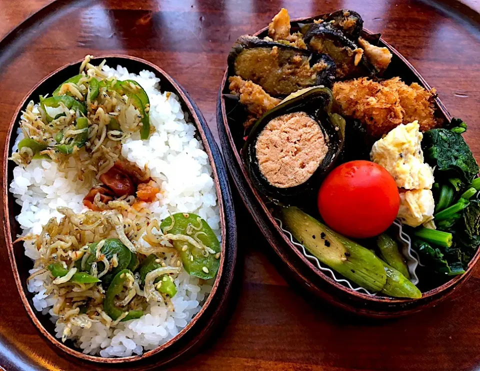 本日もお弁当🍱ホタテフライ🐟茄子と豚バラの麻婆🍜ほうれん草のおひたし🥗たらこの昆布巻き🌰アスパラソテー🥦ちりめん #息子弁当  #わっぱ弁当  #ホタテフライ  #茄子  #豚バラ  #昆布巻き  #タラコ  #ちりめんじゃこ  #札幌  #中島公園|Yukie  Toriseさん