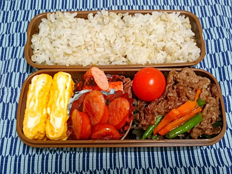 ☆今日のお弁当☆  パパのお弁当作り始めました。|hamamaさん