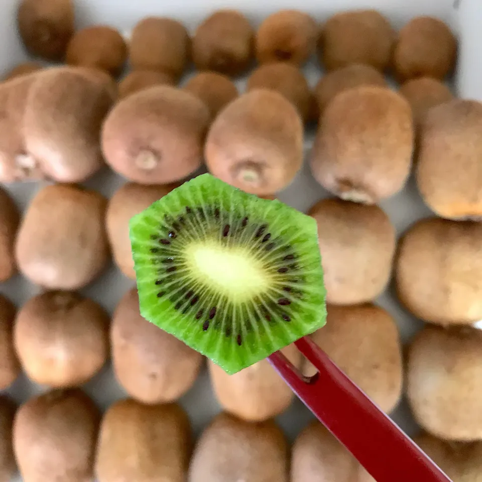 Snapdishの料理写真:キウイ🥝詰め放題 これで１５０円|シュトママさん