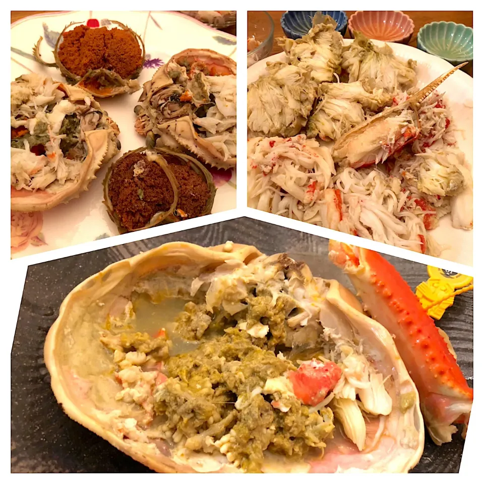 Snapdishの料理写真:蟹🦀解禁〜♡
越前蟹 ズワイとセイコ|AKUBI*:ஐ(●˘͈ ᵕ˘͈)さん