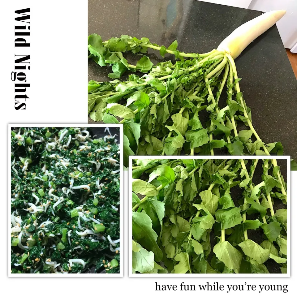 立派な大根葉っぱとそれを使って菜飯ふりかけ|シュトママさん