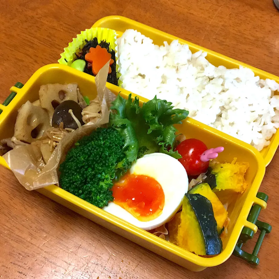 11月11日 むすめ弁当|なお。みさん