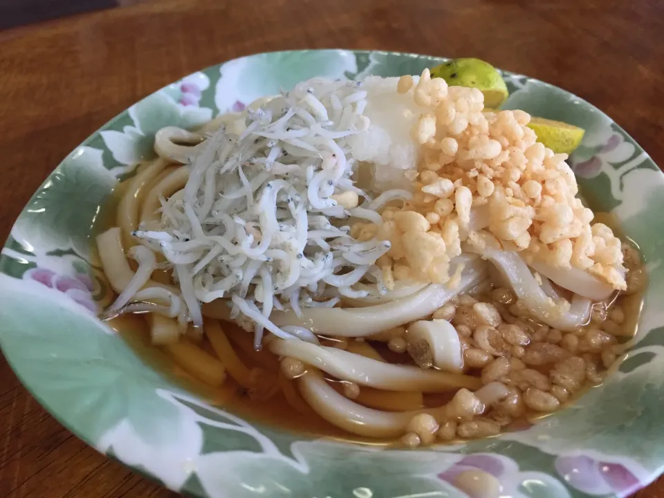 しらすおろしうどん|さんだーさん