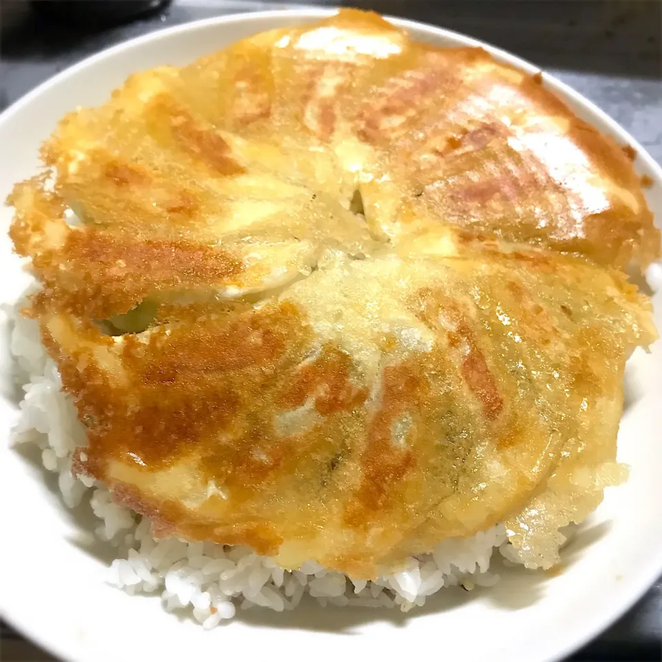 今夜も、絶品❗️円盤餃子ライスを頂きます🥟🥟🥟🎵|ギムレットさん