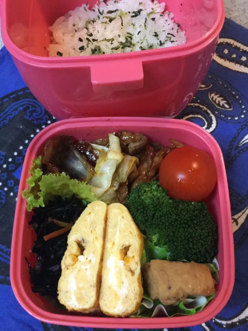 Snapdishの料理写真:♫11/12今日の娘のお弁当♫|Satokoさん