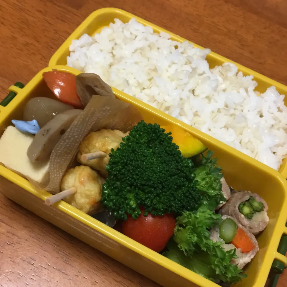 11月13日 むすめ弁当|なお。みさん