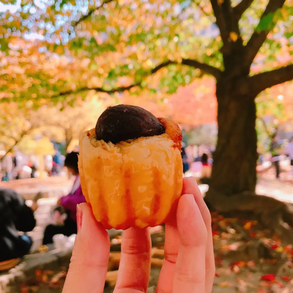 Snapdishの料理写真:マロンケーキ🌰|ちゃみこさん