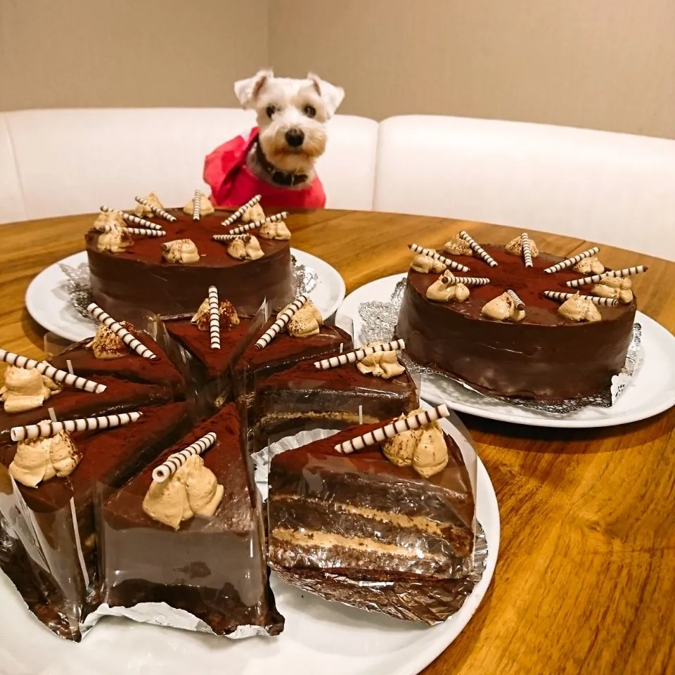 旦那様のお誕生日リクエストのチョコモカケーキ！|Ikuyo Hasegawaさん