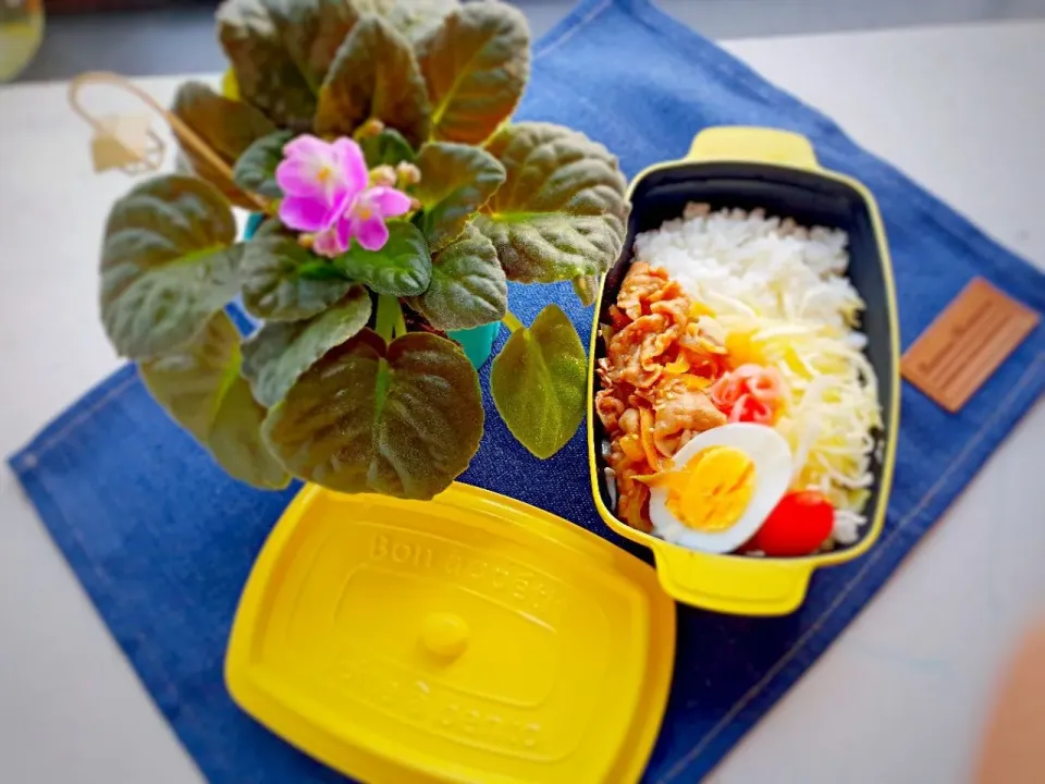 Japanese stir fry pork bento set|Chua Jeanさん