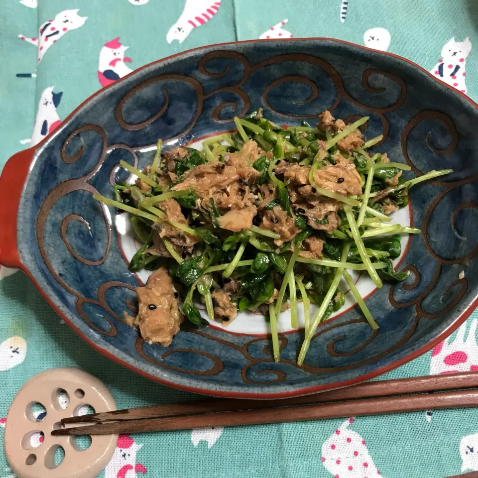 サバと豆苗の味噌和え|あさかさん