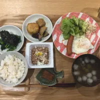 Snapdishの料理写真:朝:春菊のり、里芋とお豆腐揚げ煮物|かなさんさん