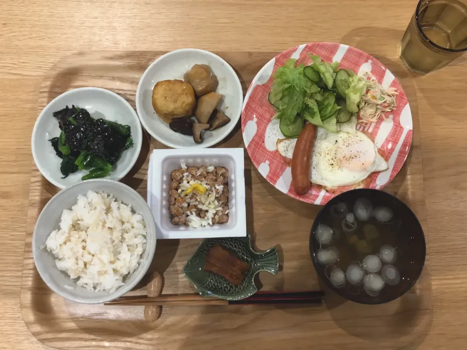 Snapdishの料理写真:朝:春菊のり、里芋とお豆腐揚げ煮物|かなさんさん