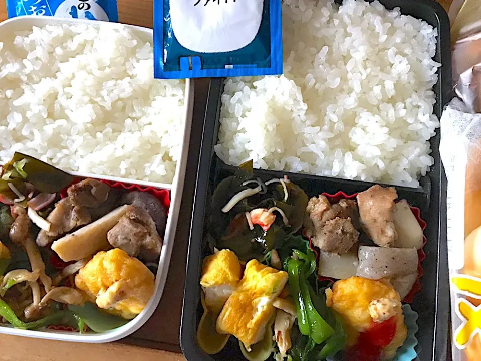 Snapdishの料理写真:11/12 お弁当
#筑前煮
#ピーマンとしめじのごま油炒め
#きゅうりの酢の物|侑子さん