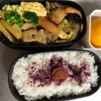 Snapdishの料理写真:梅ゆかり弁当|なつさん