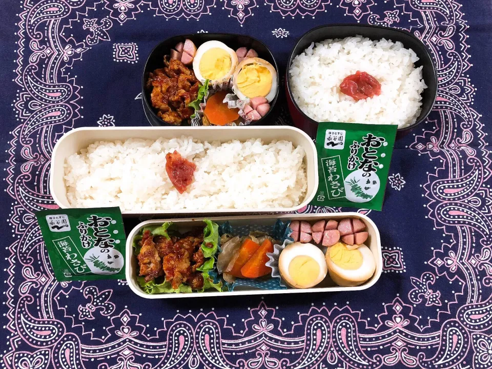 Snapdishの料理写真:2018/11/14(水) 夫弁当&娘弁当🎵|kiyominさん