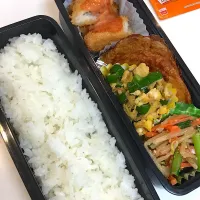 Snapdishの料理写真:11/14 オット弁当|ちゃーごさん