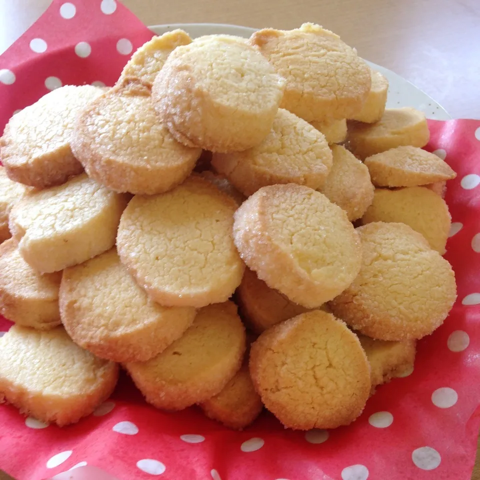 サクホロクッキー🍪|イクイブさん