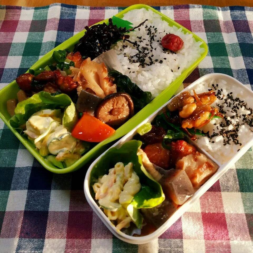 1/10(火) お弁当～♪|marikuruさん