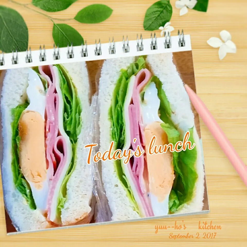 Today's lunch♡Sandwich|teddy☆さん