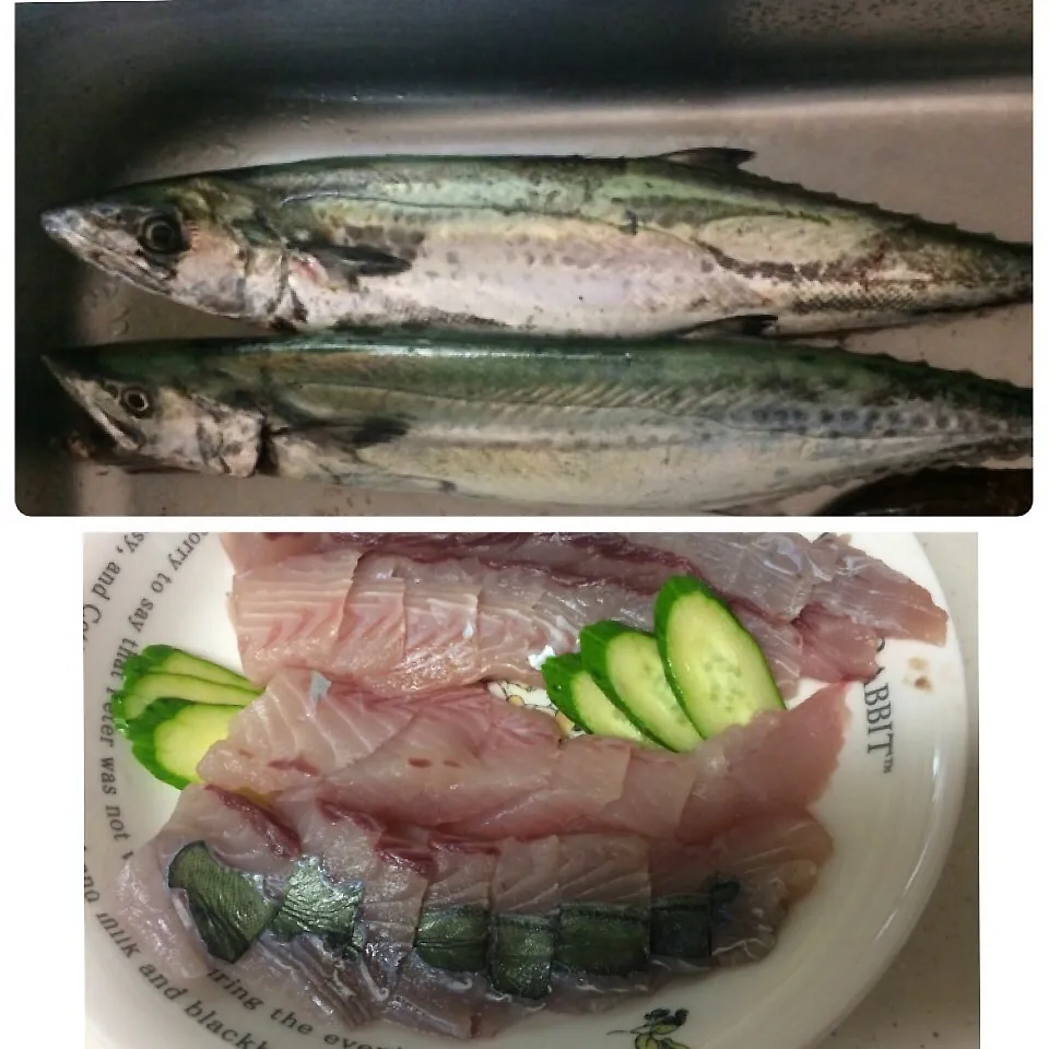 Snapdishの料理写真:魚釣り〜サワラ|ANZ,,さん