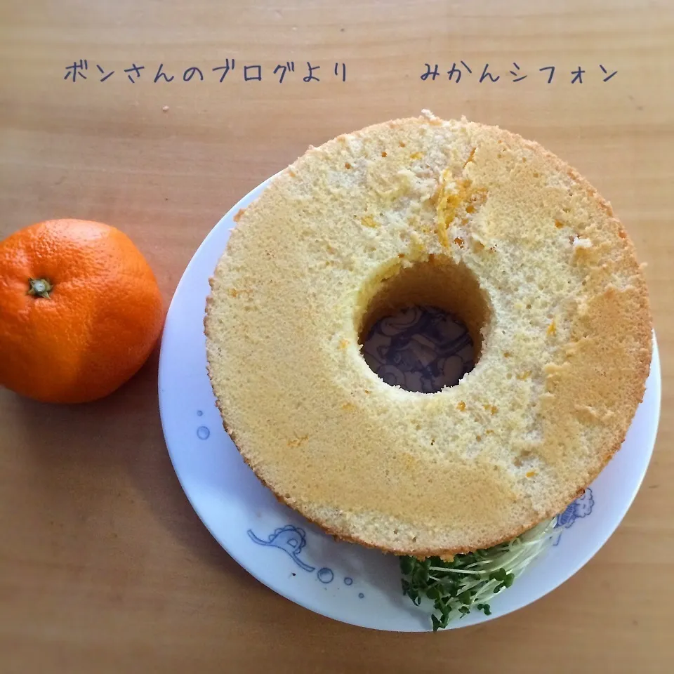 Snapdishの料理写真:みかんシフォン♡|meghさん