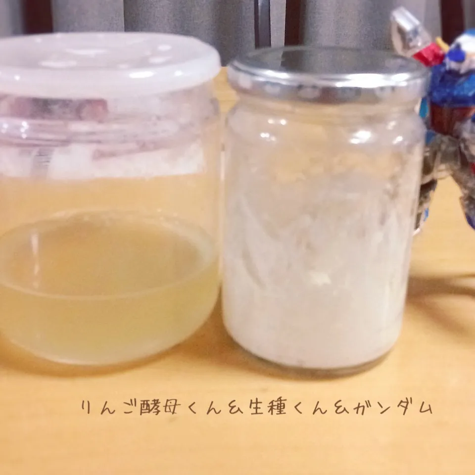 Snapdishの料理写真:りんご酵母くん＆生種くん|meghさん