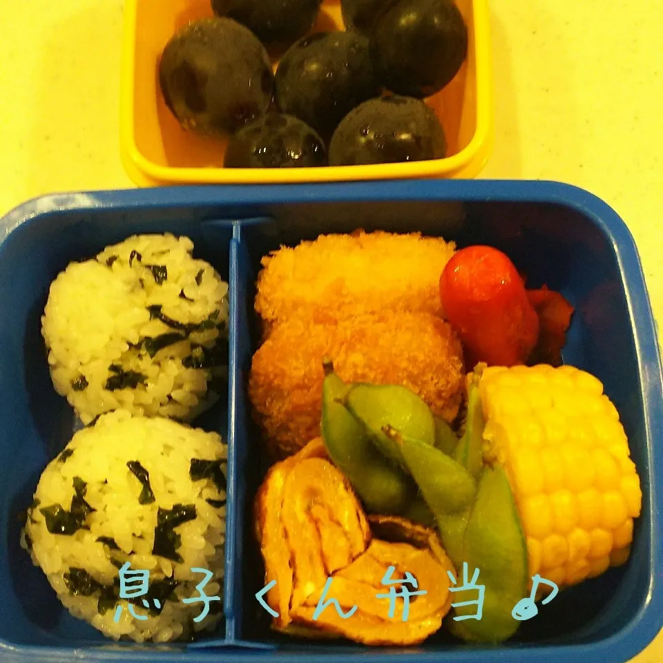 Snapdishの料理写真:息子くん弁当17/09/12|meguminさん