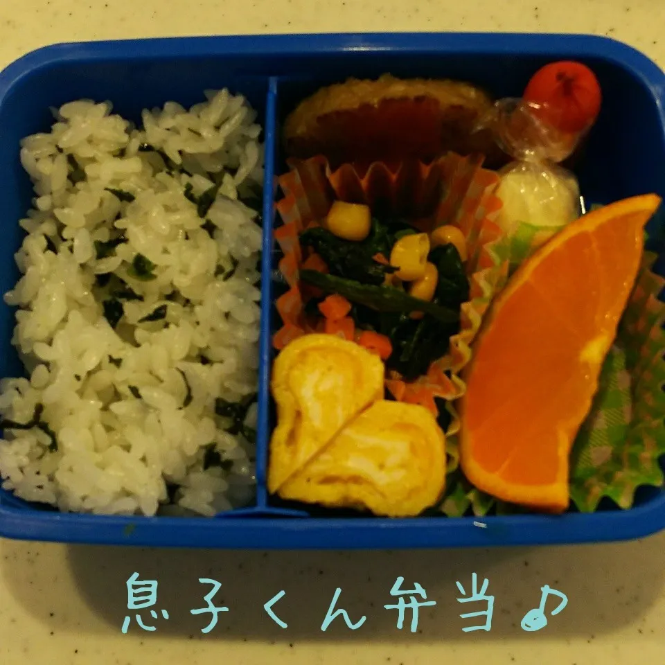 息子くん弁当17/04/25|meguminさん