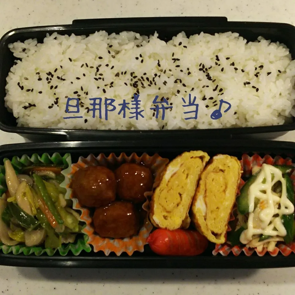 旦那様弁当17/04/19|meguminさん