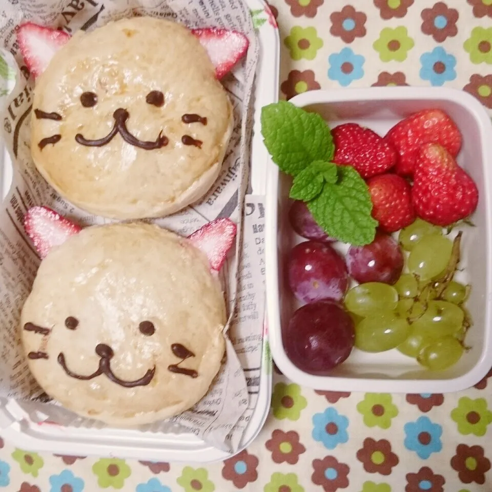 ねこパン弁当|くりんさん