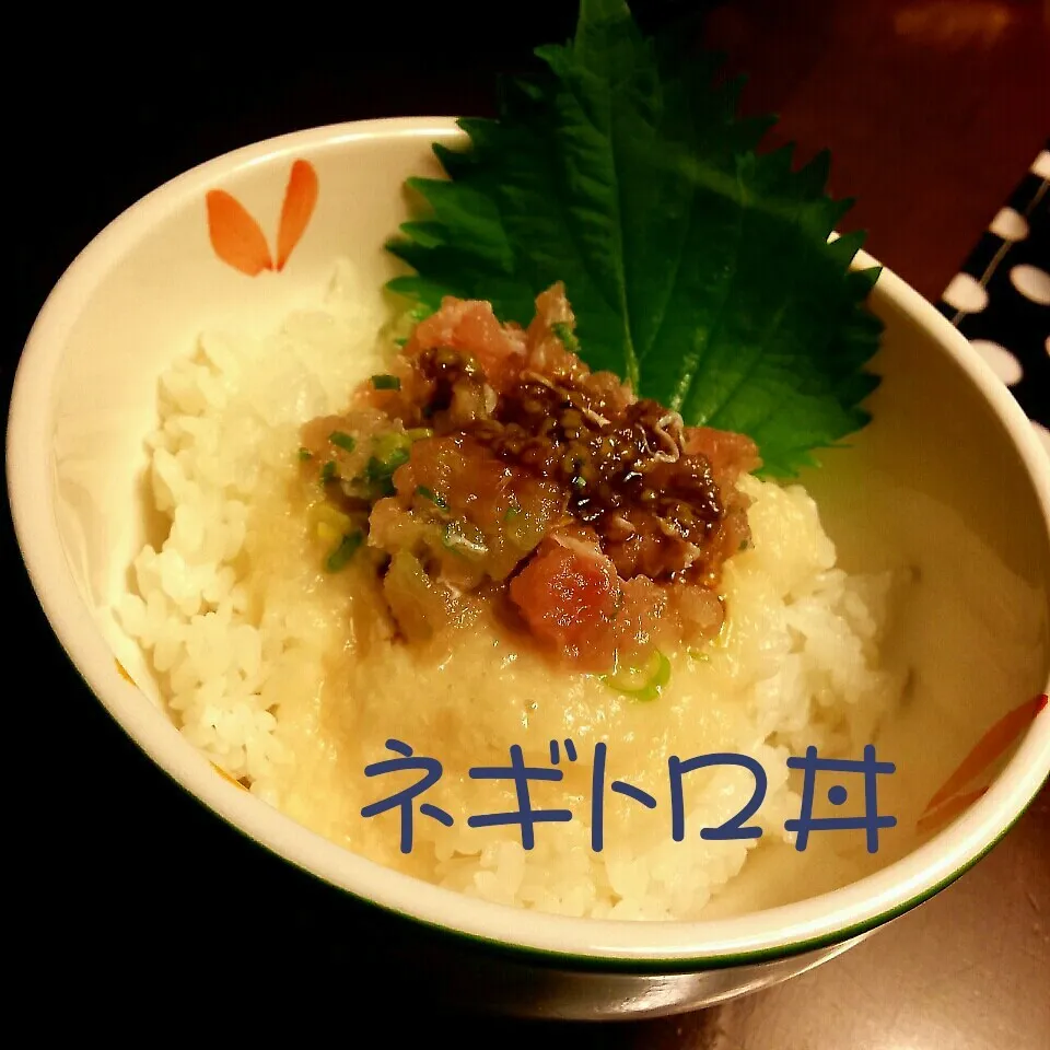 Snapdishの料理写真:とろろネギトロ丼|meIna ＆ keInaさん