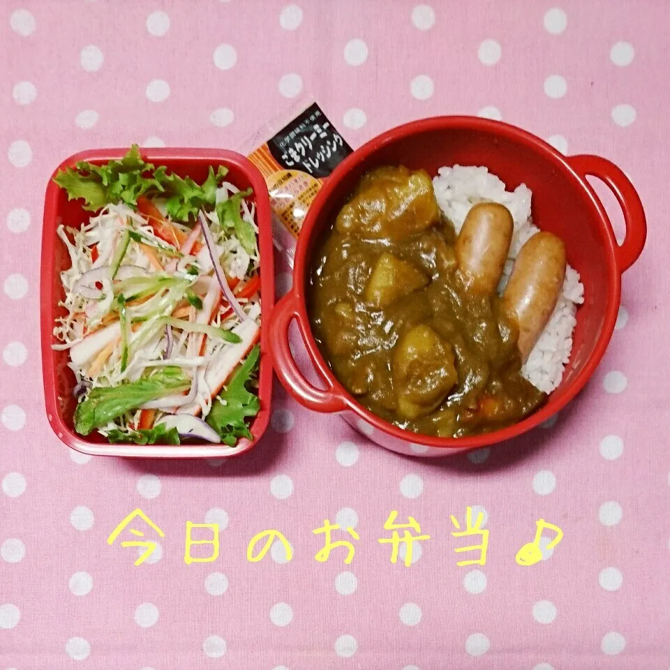 10/29…お弁当🎵|美津子さん